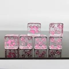 6pcs D6 Dice Resin 16mm Cat Paw Pink Font Clear