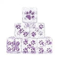 6pcs D6 Dice Resin 16mm Cat Paw Purple Font Clear